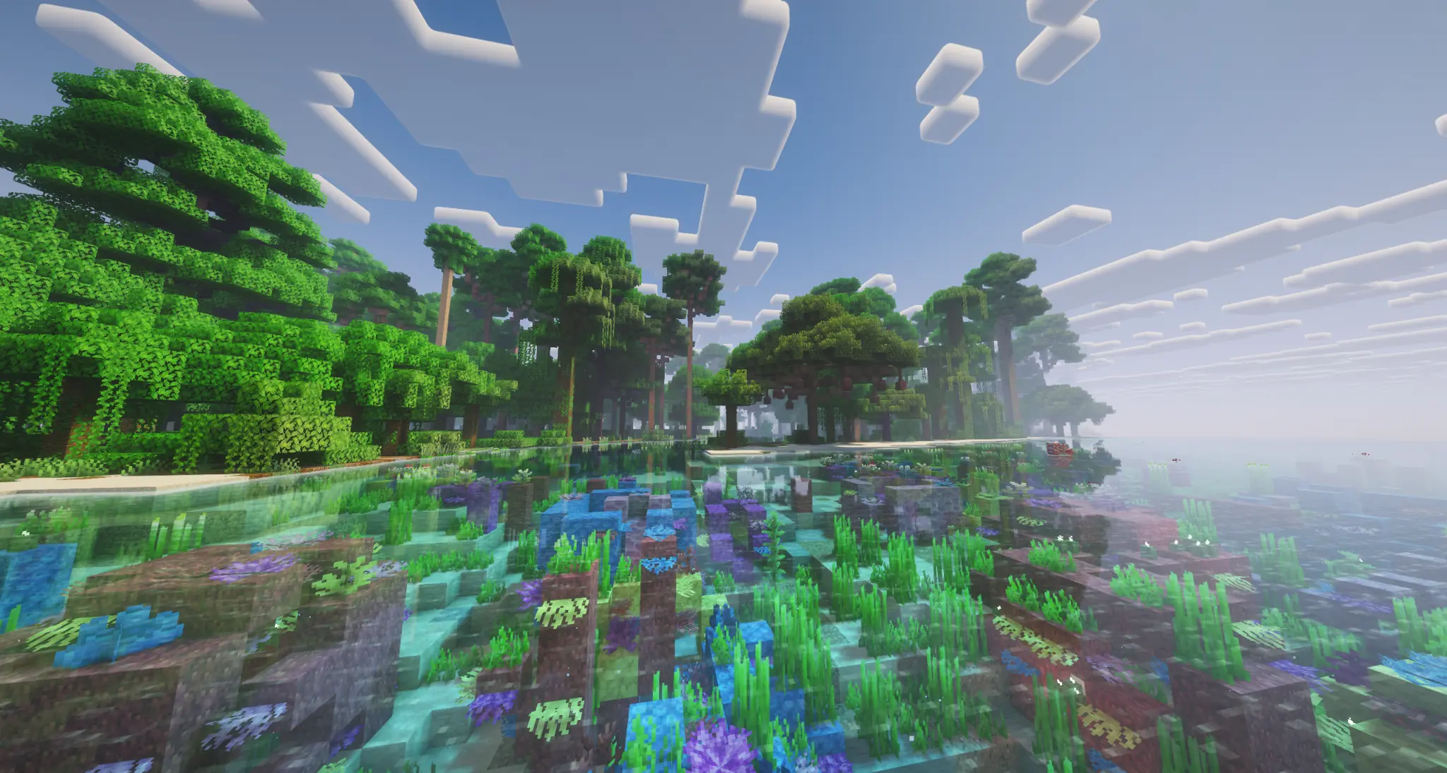 Tropical coastline with coral visible below the water