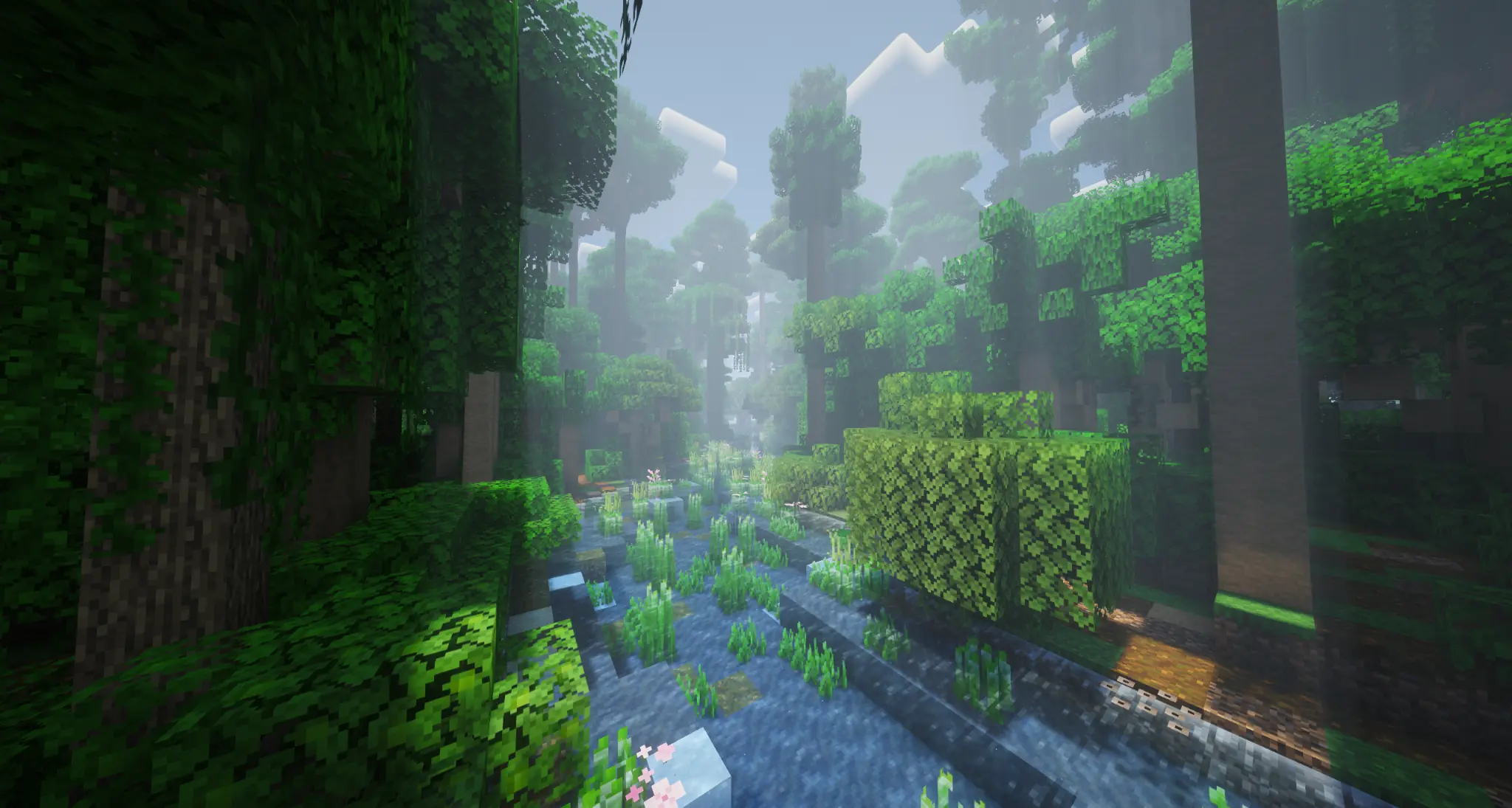 Dense rainforest surrounding a misty river