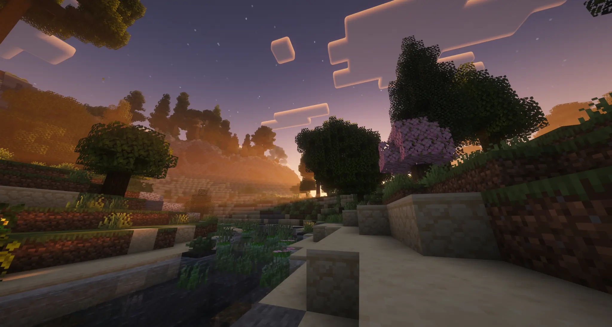Woodland stream glowing during sunset