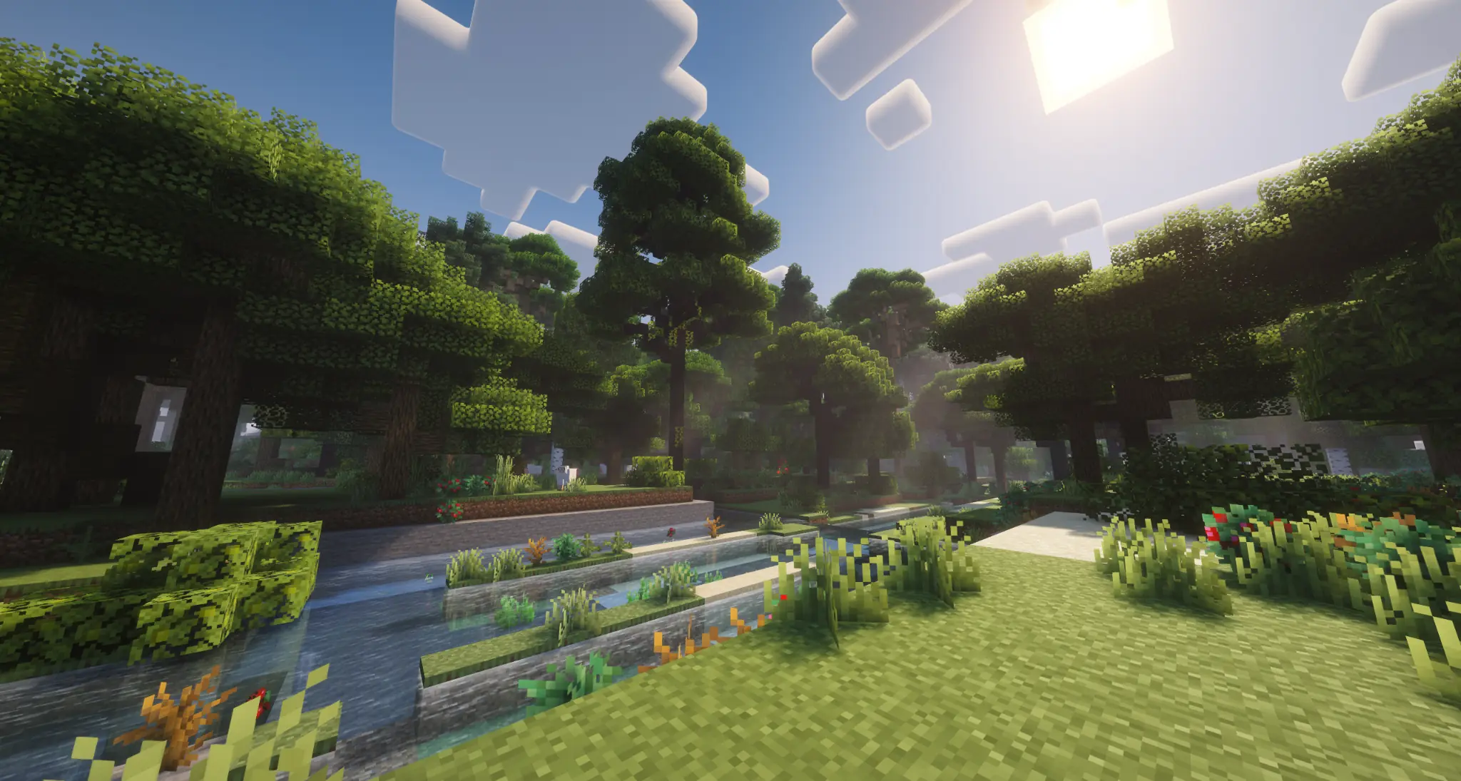 Bright forest with a shallow stream