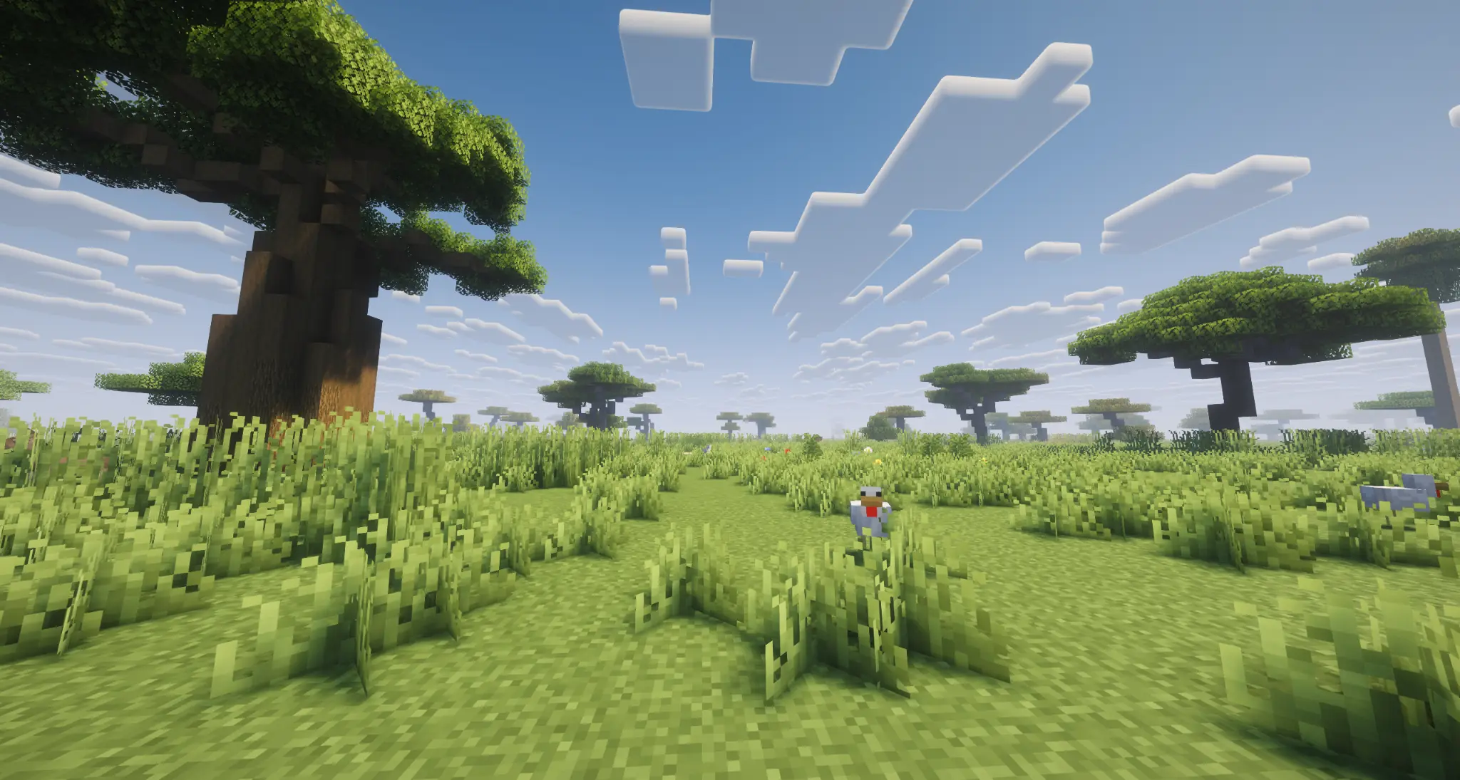 Open savanna with broad trees and grasslands