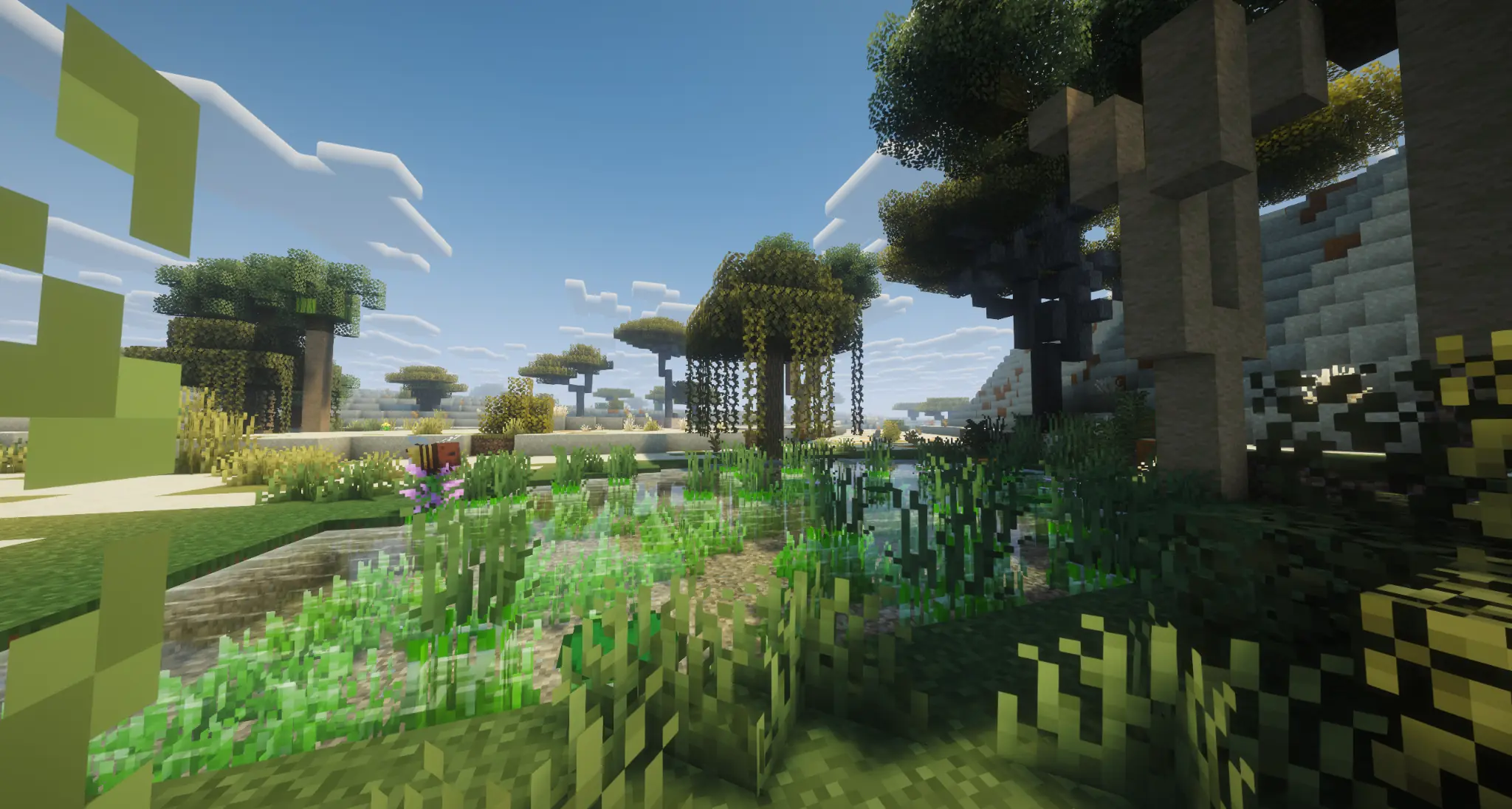 Wetlands with flowers, trees and rocky slopes