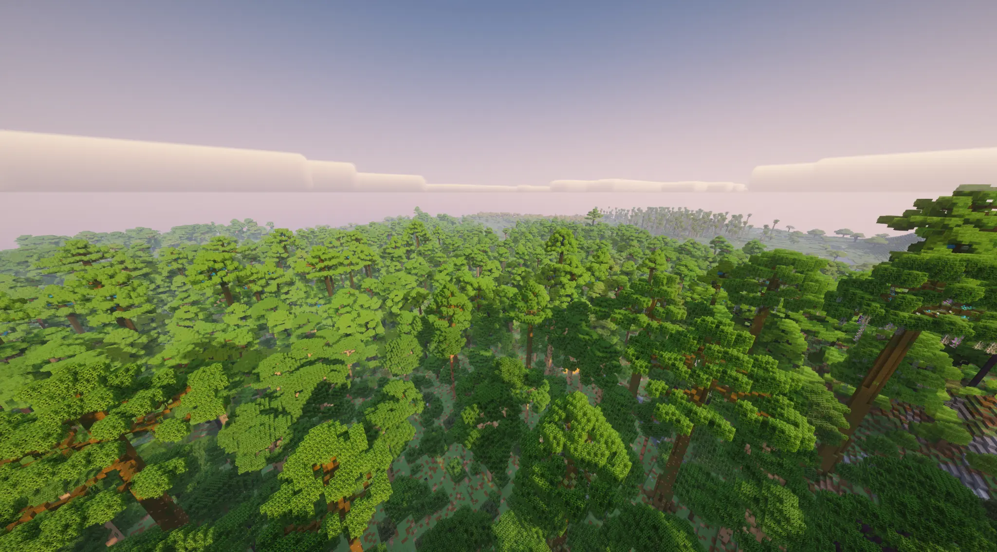 Rainforest canopy stretching to the horizon