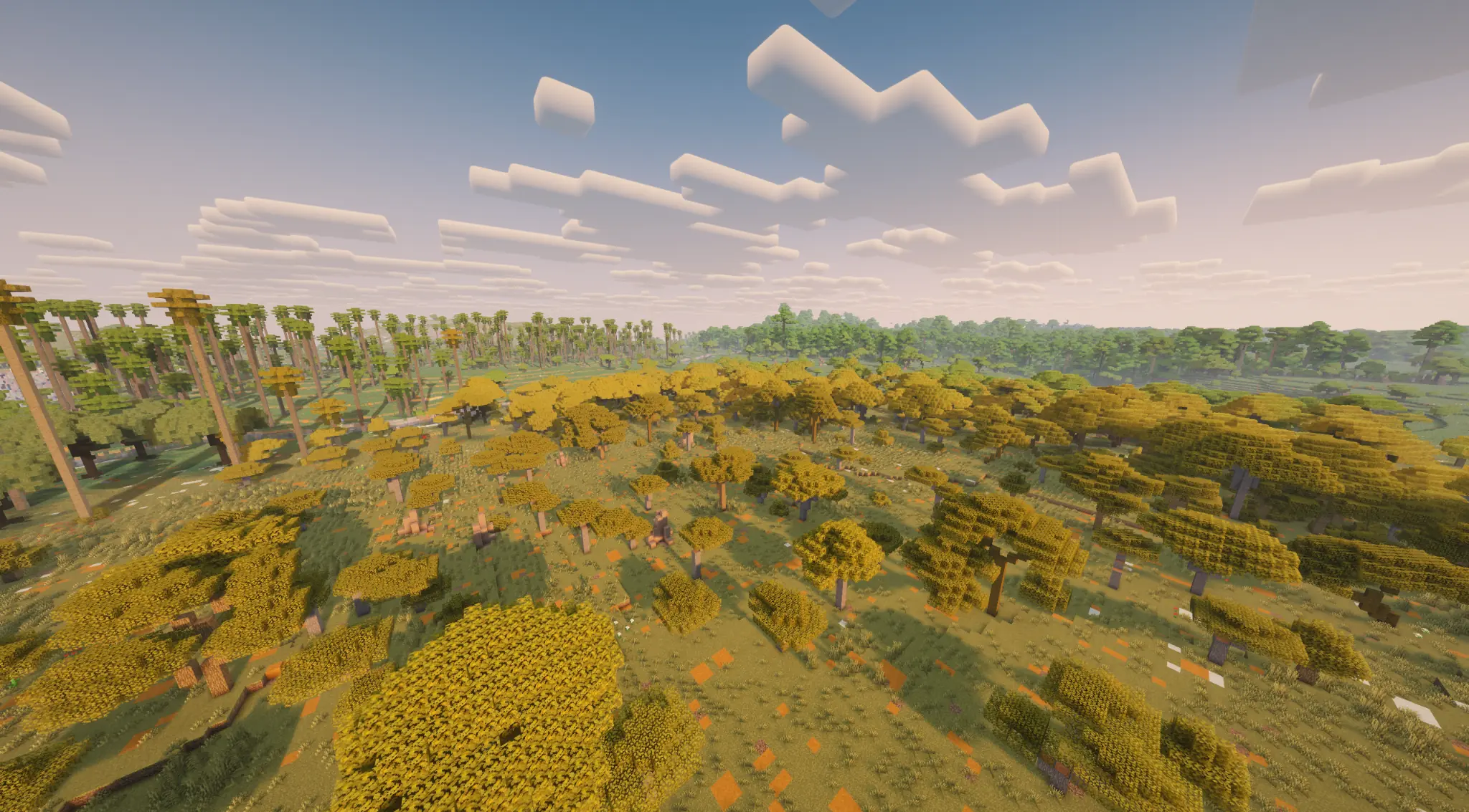 Golden savanna forest viewed from above