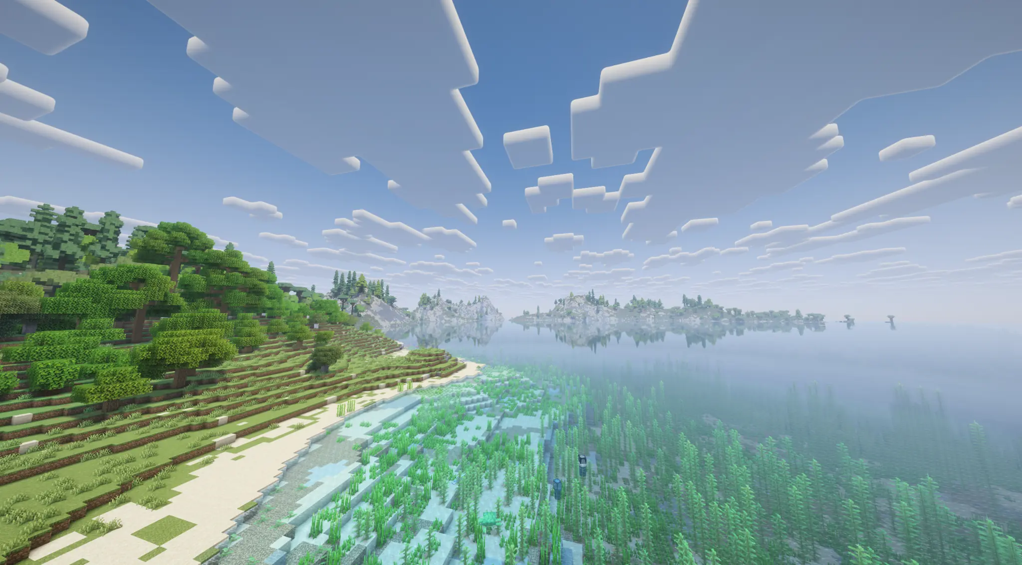 Forest coastline overlooking a calm open sea
